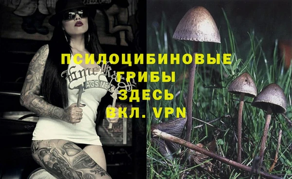 герыч Абаза