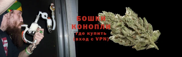 сатива Абинск