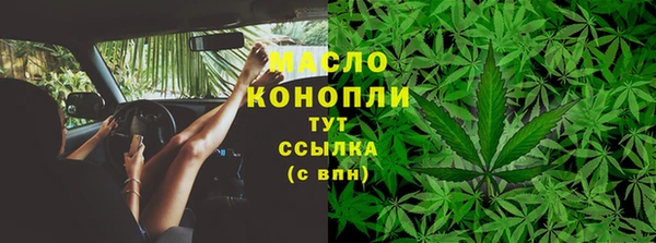 сатива Абинск