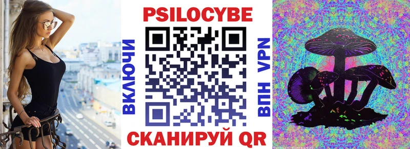 где можно купить Лакинск Псилоцибиновые грибы Cubensis